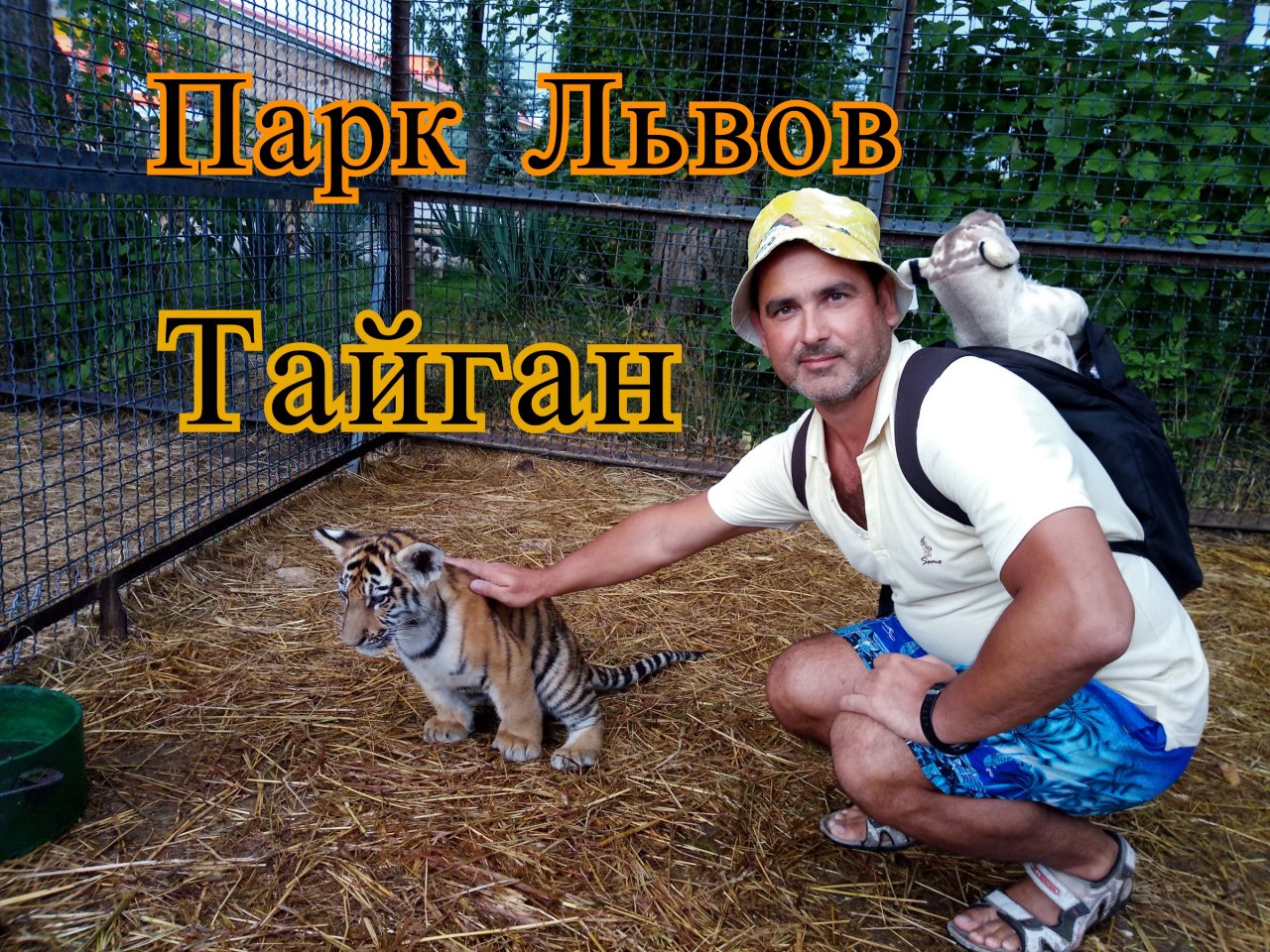 Парк львов Тайган. Достопримечательность Крыма.