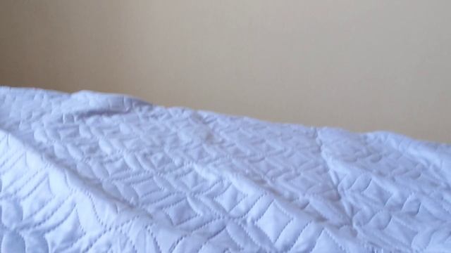 скибиди звери 15