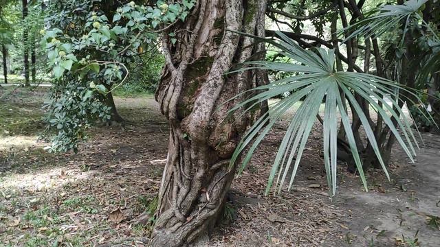 Сочи, Адлер ч.2 2022г