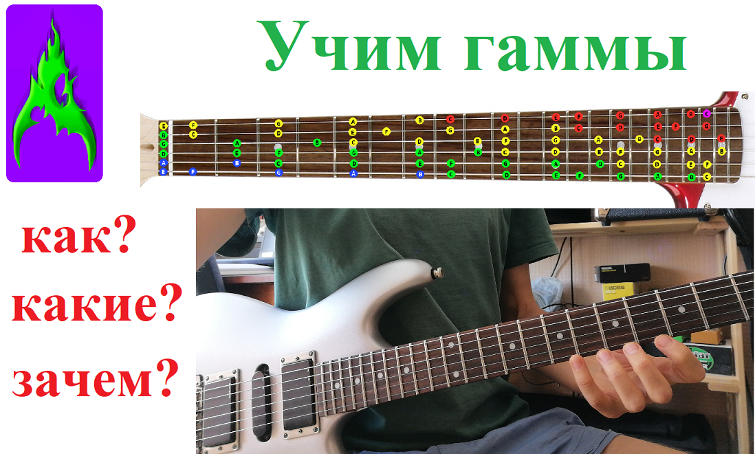 Как учить гамму на гитаре Какие учить и зачем