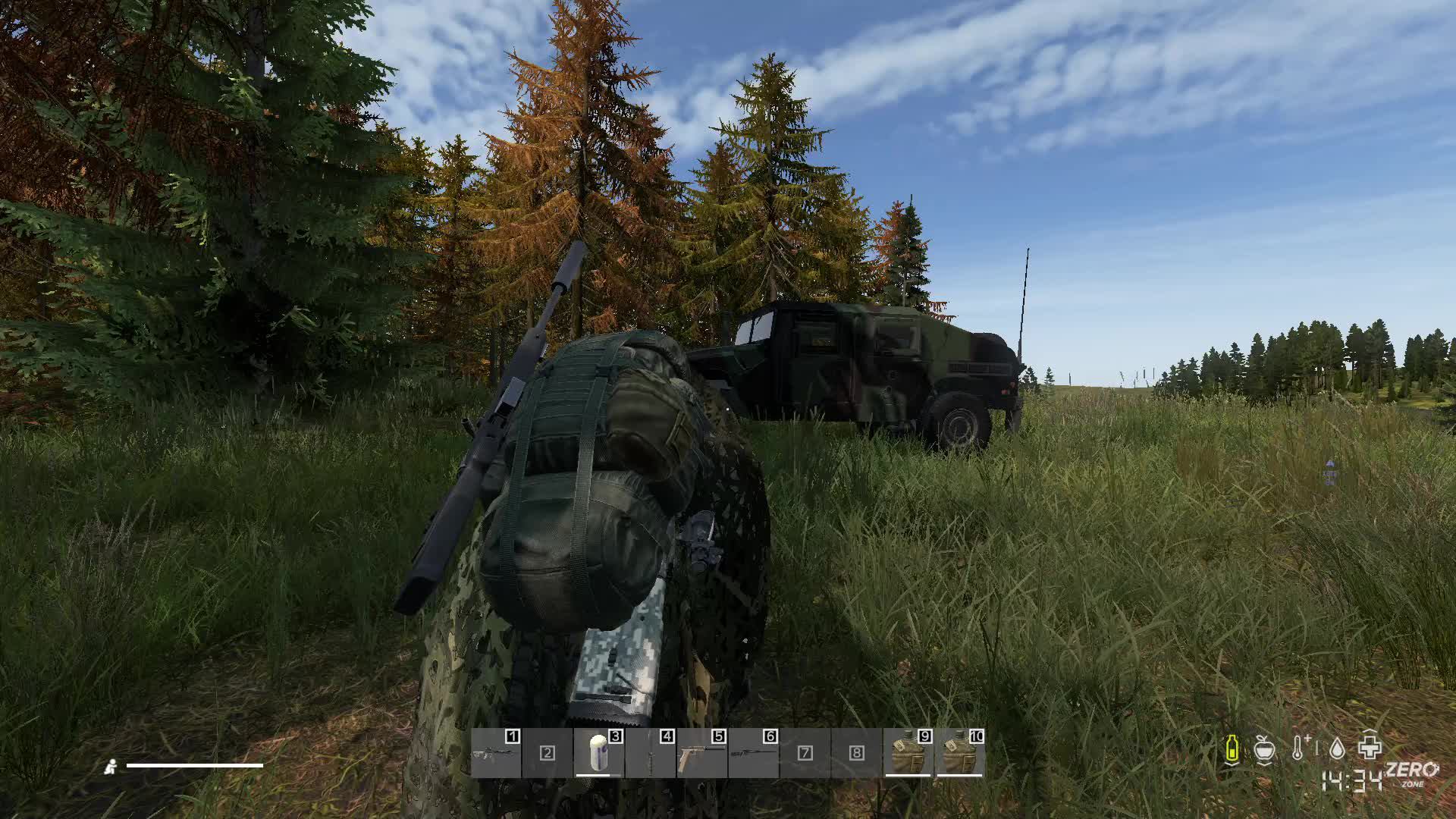 dayz