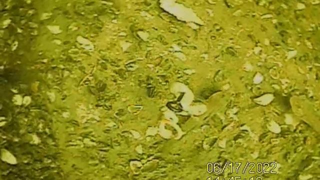 YouCut_20231203_235941910.mp4Волга гл.5м.Бычки.03.12.2023г.