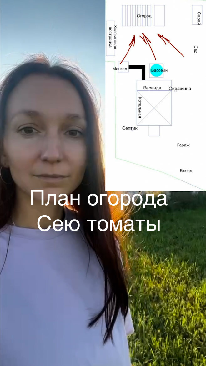 Как мы распланировали огород на новом участке, любимый сорт томатов