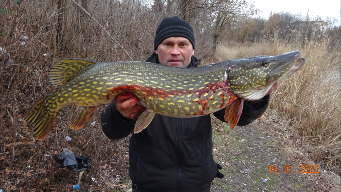 ЩУКА НА ЖИВЦА НА РЕЗИНКУ.ЛОВЛЯ ЩУКИ НА БОЛЬШИХ ПРУДАХ.РЫБАЛКА.2022..