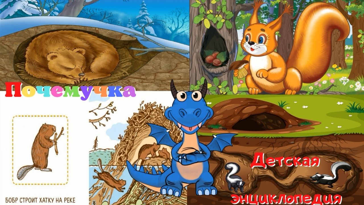0+ Какие бывают домики животных? Почемучка. Детская энциклопедия.