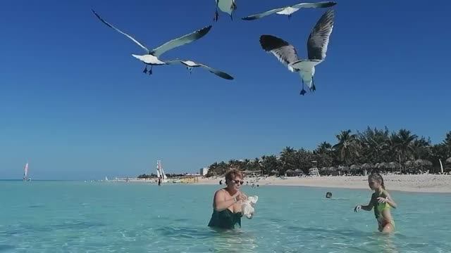 Отдых на Кубе.Варадеро. Рыбки у берега. Чайки. Cuba. Varadero #куба #варадеро #отдыхнакубе #Cuba