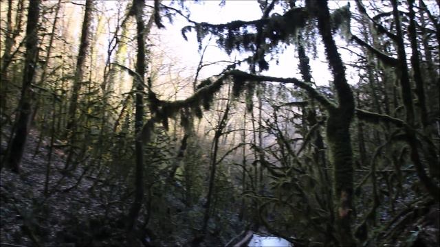 Сочинский район. Природный заповедник 33 водопада.