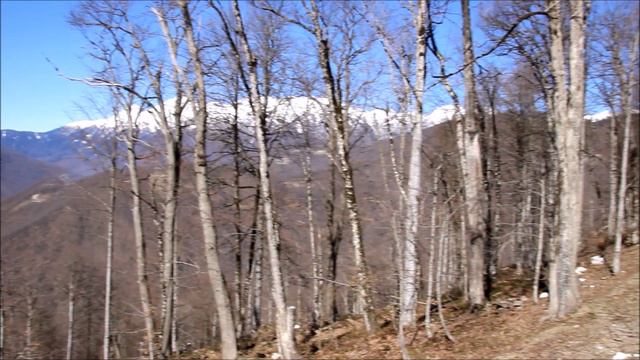 Роза Хутор.