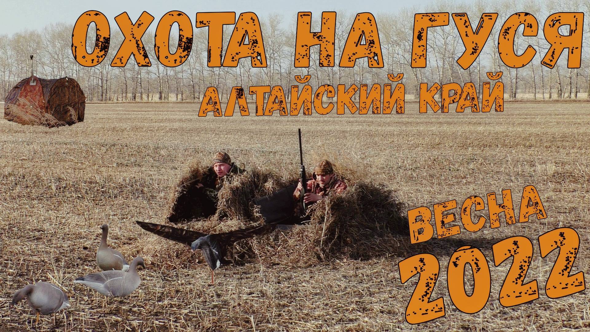Весенняя охота на гуся Алтайский край / Тест лежачих скрадков / Охота одного дня / Мания гравитация