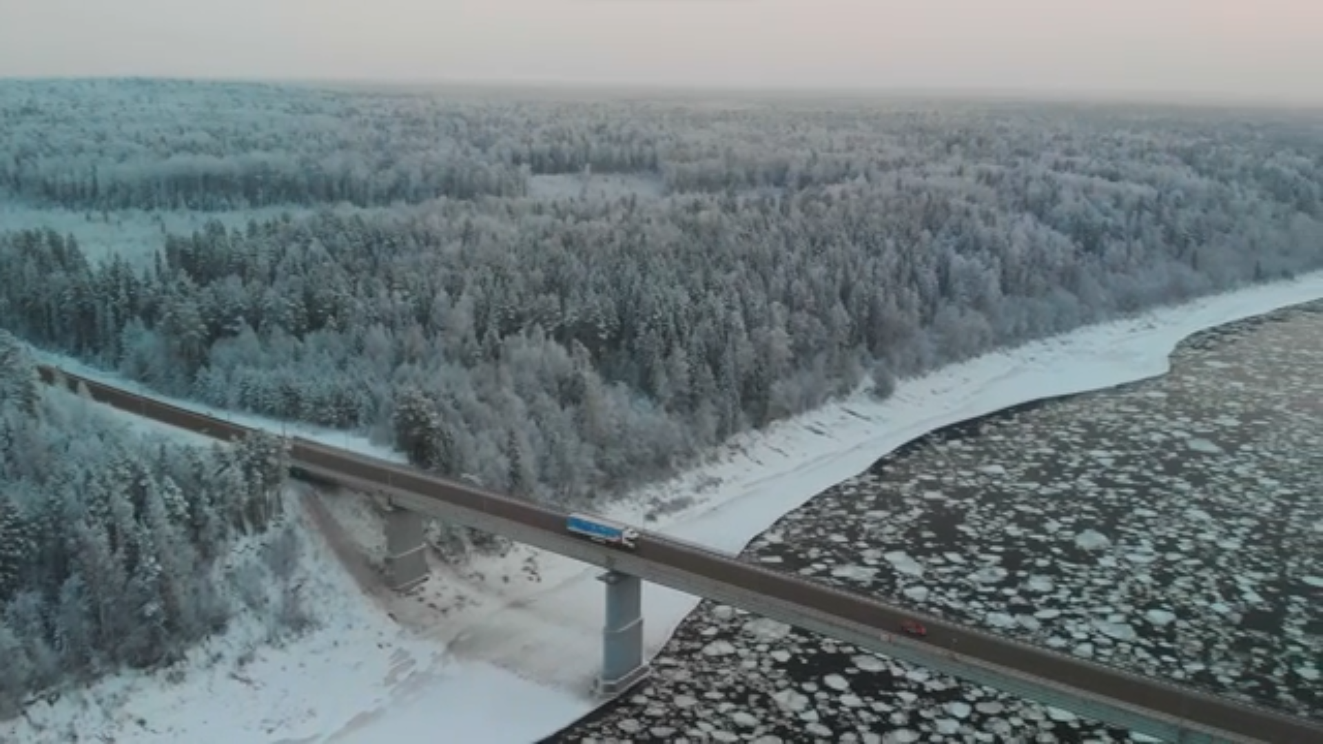 Большое путешествие лесной красавицы. 1-я серия