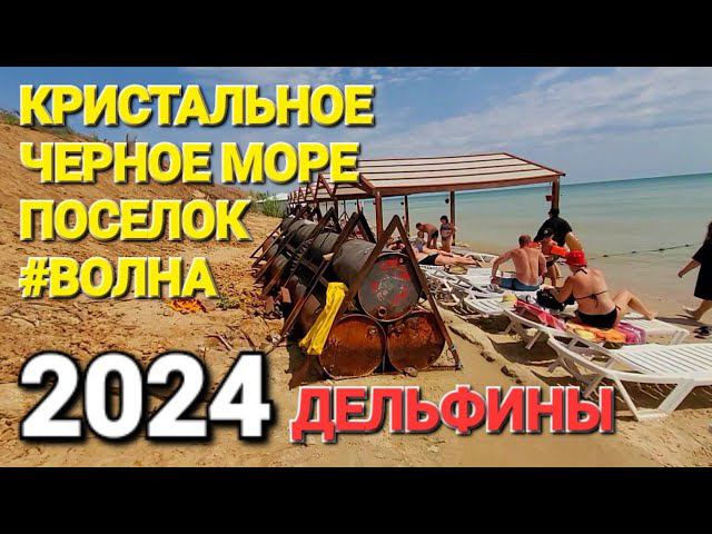 Поселок #Волна. 2024 г. Тайна на Черном море! Обзор пляжей, где поесть, дельфины.