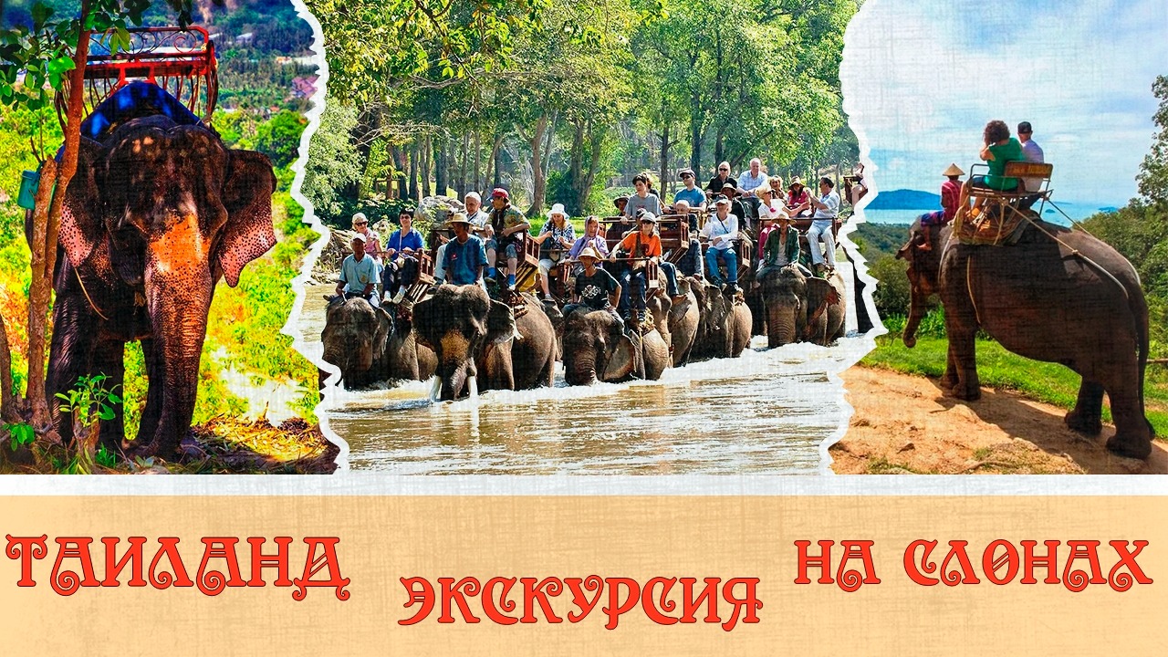 Таиланд экскурсия на слонах