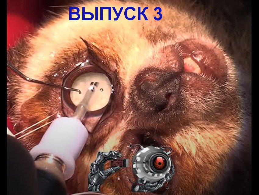 Другая офтальмология. Выпуск 3. Катаракта у животных.