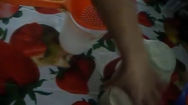 Как приготовить Тибетский молочный гриб какая его польза народный способ лечение от всех недугов.