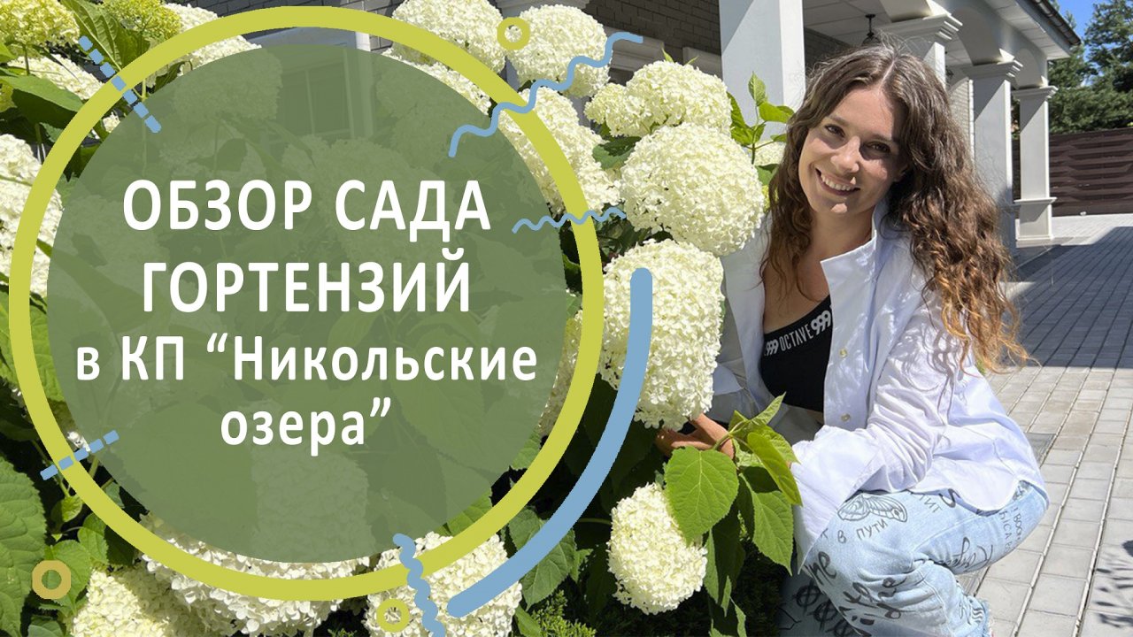 Обзор сада гортензий в КП "Никольские озера"