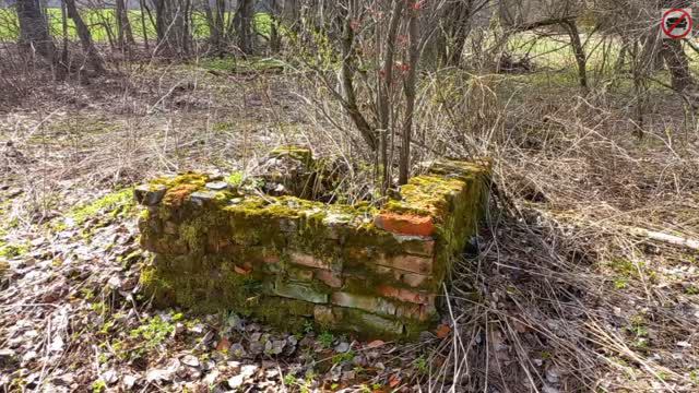 Путешествия по Беларуси: Белорусская Америка