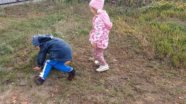 #вырастили_тыкву#собираем_тыкву_дынную Собираем урожай тыквы с детьми!.mp4