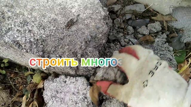 Уборка 03 января 2024 года,Чужой мусор, погода+, кирпичи в щебень?, подружилась?.Классные эмоции.