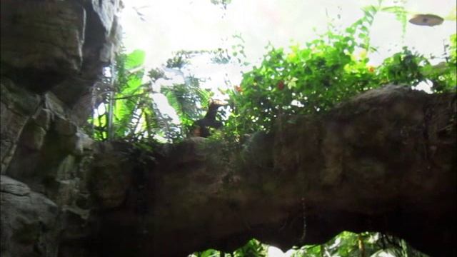 Парк Йоркского периода.Италия.