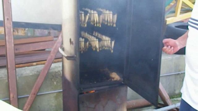 Копчение ставриды (29.05.2010г.)