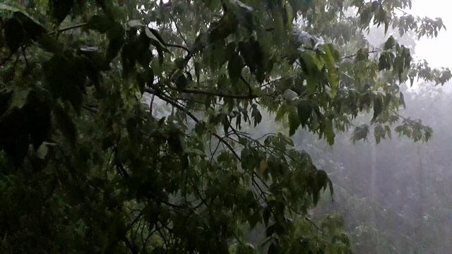 2021 москва тропическимй ливень 29 июня