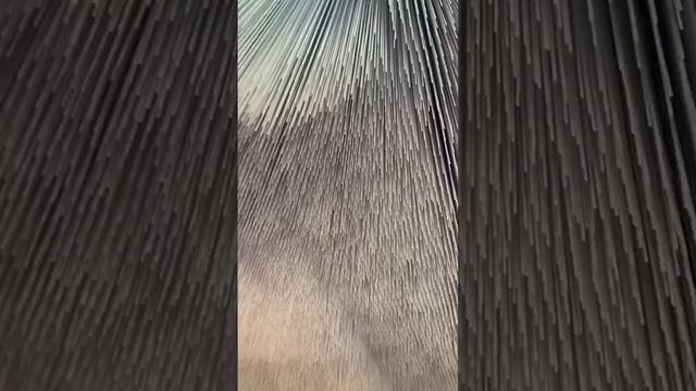 что-то нереальное  на вднх!!