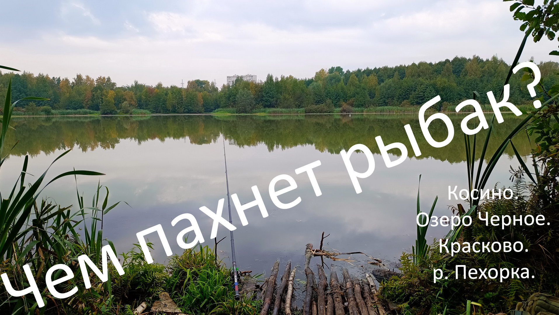 Косино. Озеро Черное или Чем пахнет рыбак.
