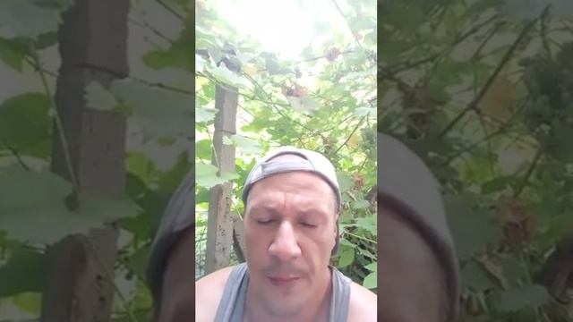 522.13.49.ण.£.8.9 ; КОФЕ. ГЕББЕЛЬС. ВОЛНЫ. PROPHET. SHCHERBAKOV. ЩЕРБАКОВ АРТЕМ .НАУКА.