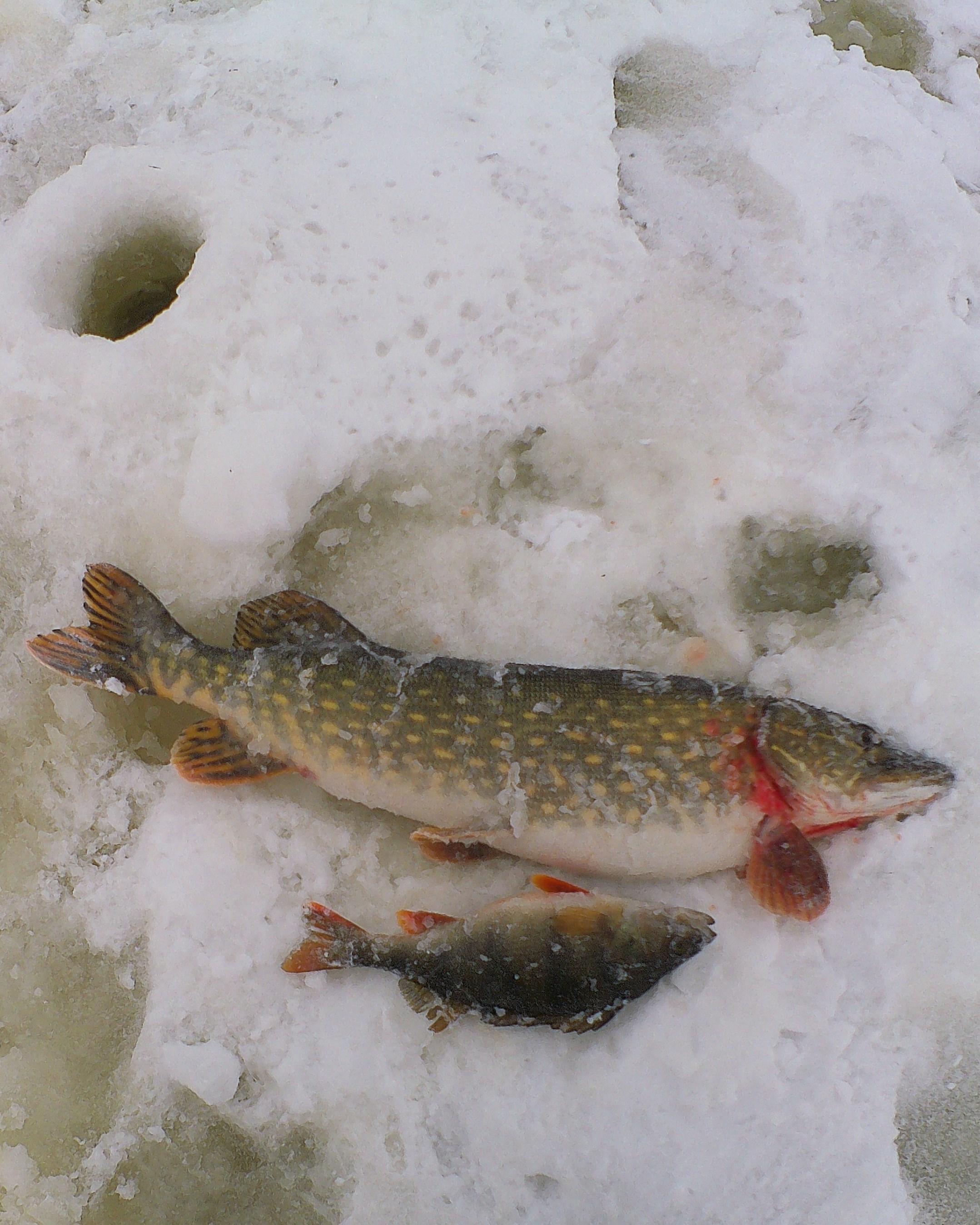 Глухозимье - снова непогода! Рыбалка 26.02.2023г.