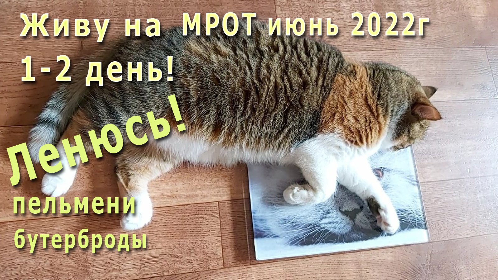 Живу на МРОТ июнь 2022г! Ленивое начало! Закупки! Пельмени, бутерброды, халва!