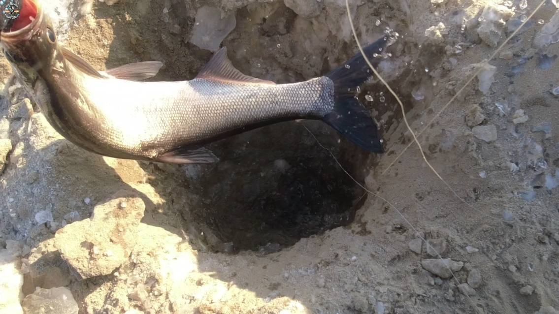 Проверка зимних снастей на верхогляда 17.01.20223