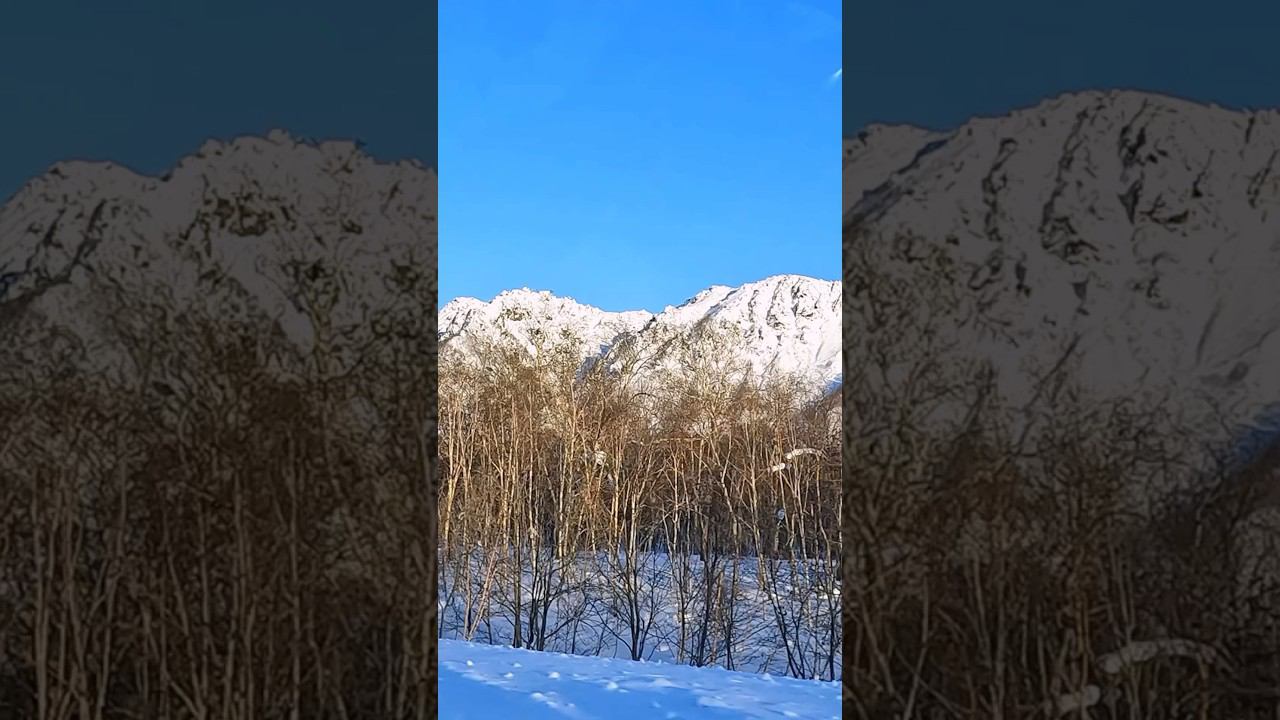 Корюшка-Зубарик р.Большая #kamchatka #корюшка #рыбалка