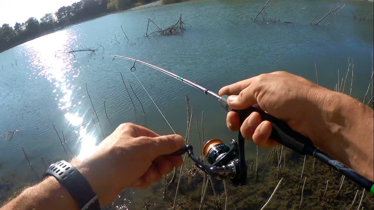 В КОРЯЖНИК ПОЛОВИТЬ ЗУБАСТУЮ