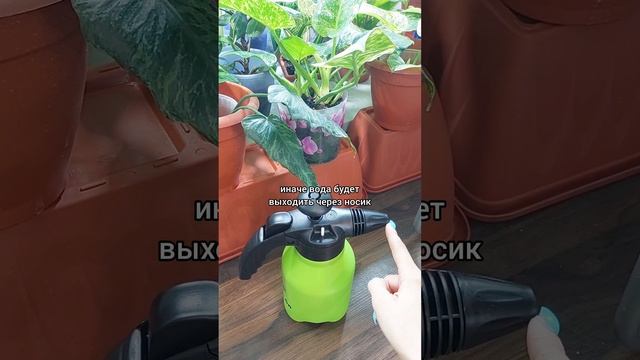 #ОТЗЫВ на опрыскиватель Green Days 1.5л #распылитель #цветы #растения #уход #содержание #shorts