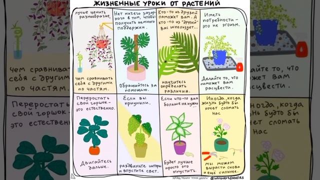 Жизненные уроки от растений?Юмор в картинках?Смешные приколы? #shorts #юмор #растения #цветы