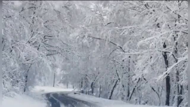 Антонио Вивальди "Зима"(1 часть)
Автор видео: Natalya Velikodnaya@NatalyaVelikodnaya