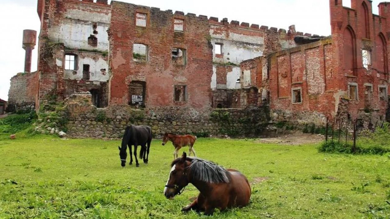 Дегустация сыра и шоколада. Выпили вина и потратили всю пенсию😱😮😂🍾🥂