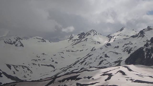 Кавказ, склон Эльбруса. Альпийская галка