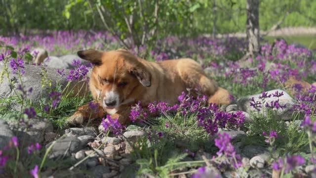 Соболиное озеро. Водопад Сказка. День 1. 
#походы #хамардабан #соболиноеозеро