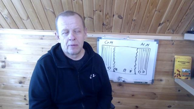 Деление на пол лёта 2 раза в одном улье лежаке владимирский.