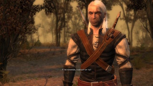 Прохождение The Witcher. #20