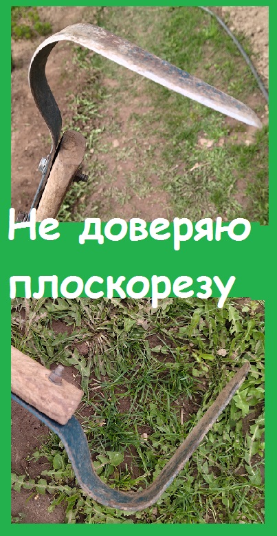 Использую ПЛОСКОРЕЗ ФОКИНА только на дорожках, на гряды его не допускаю никогда
 #дача #огород
