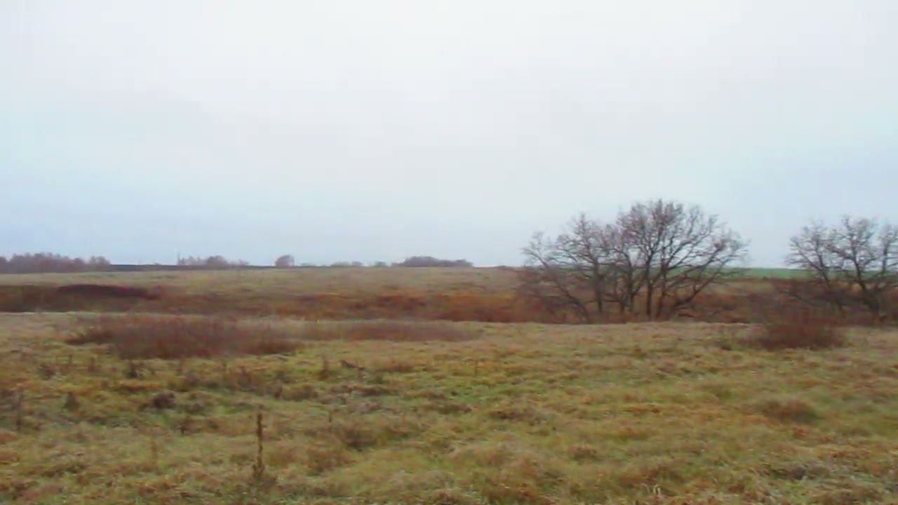 Опустевшая деревня Любовино, Татищевский район