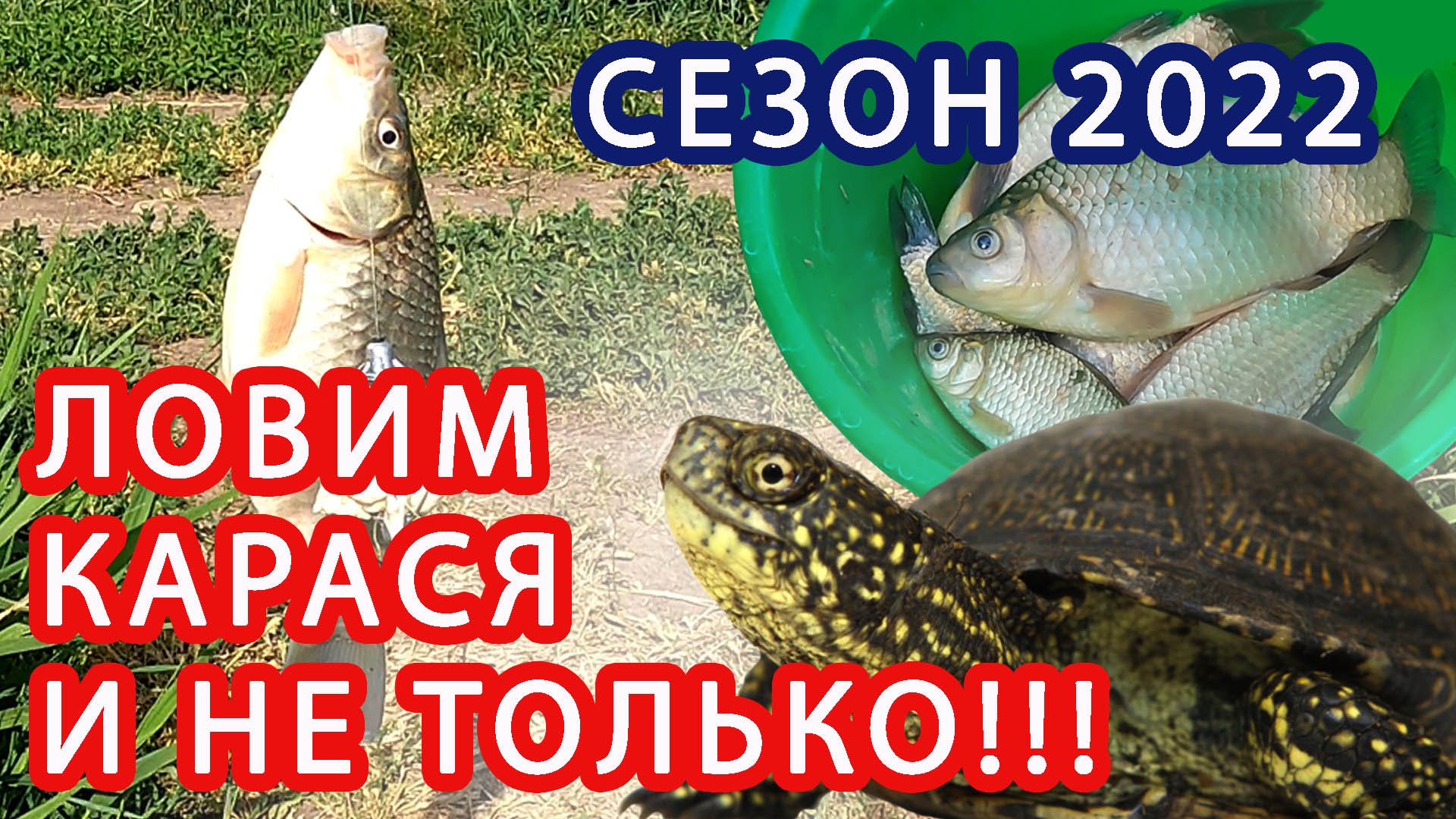 ЛОВИМ КАРАСЯ НА КУБАНИ СЕЗОН 2022!!! ОТДЫХАЕМ ОТ ПАСЕКИ))