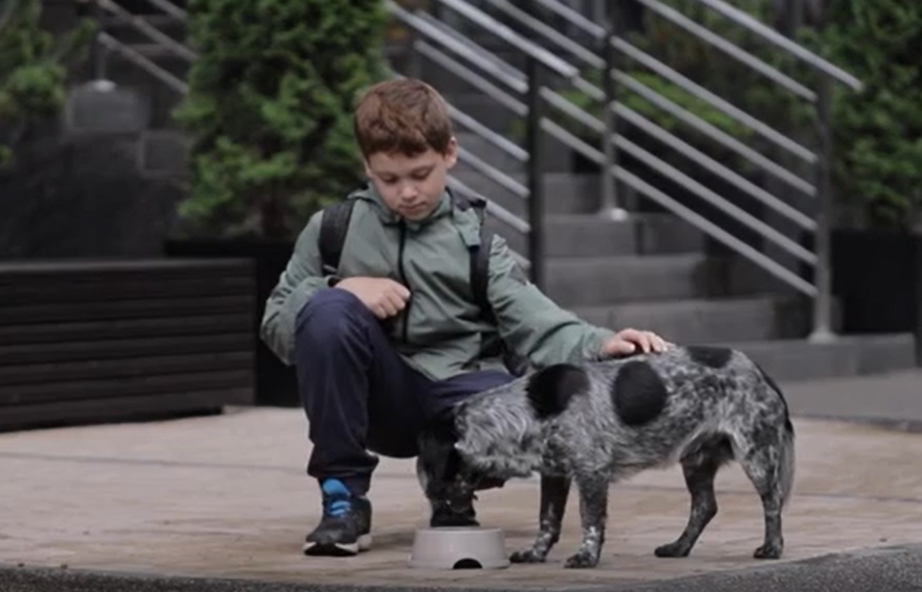 «Зеленая волна» ко Дню особой молитвы о Божием творении