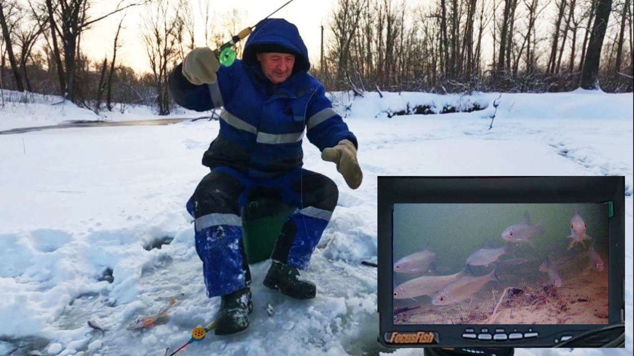 ВЫГУЛИВАЕМ ГОСТЕЙ ! ( Сузун ) 3 января 2024г. Рыбалка из-за стола !