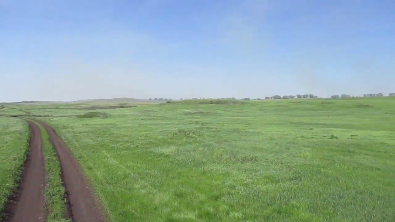 Опустевший посёлок Смирновский, Саратовский район