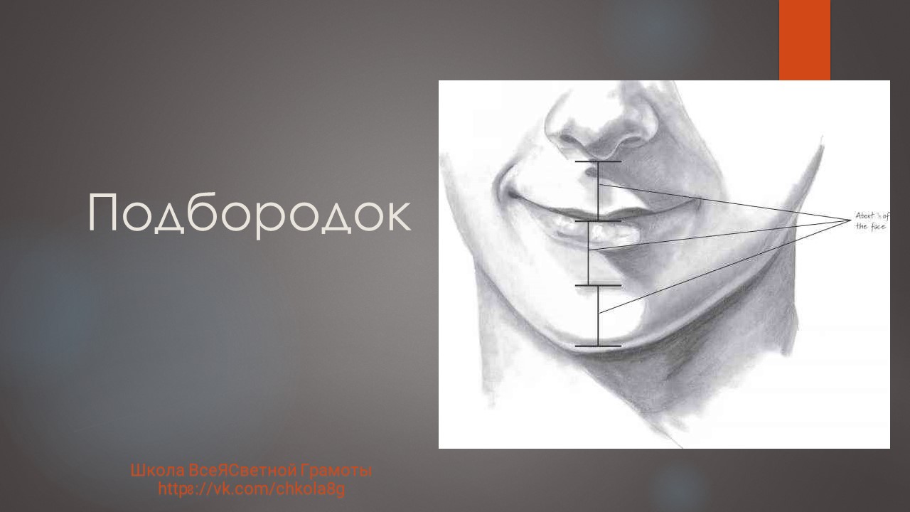 Подбородок. ВсеЯСветная Грамота