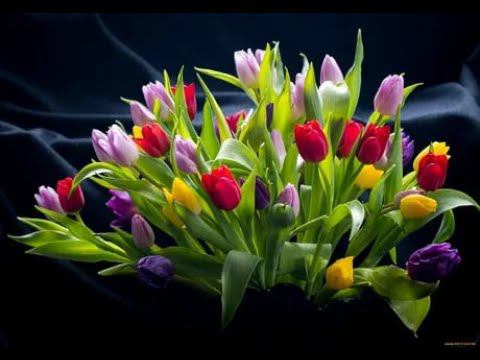 Поздравление от мужчин КМ для девушек из КМ с 8 Марта 2024 года! Любим, ценим, обожаем!