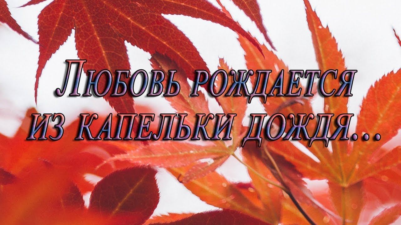 Любовь рождается из капельки дождя*